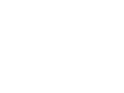 BELFA AG